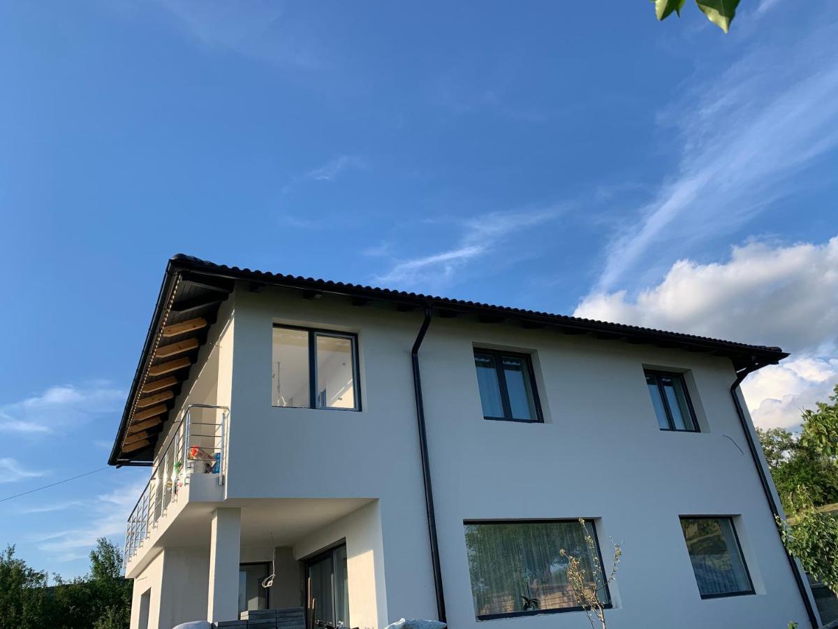 Вилла Viktoria House Одорхею-Секуйеск Экстерьер фото