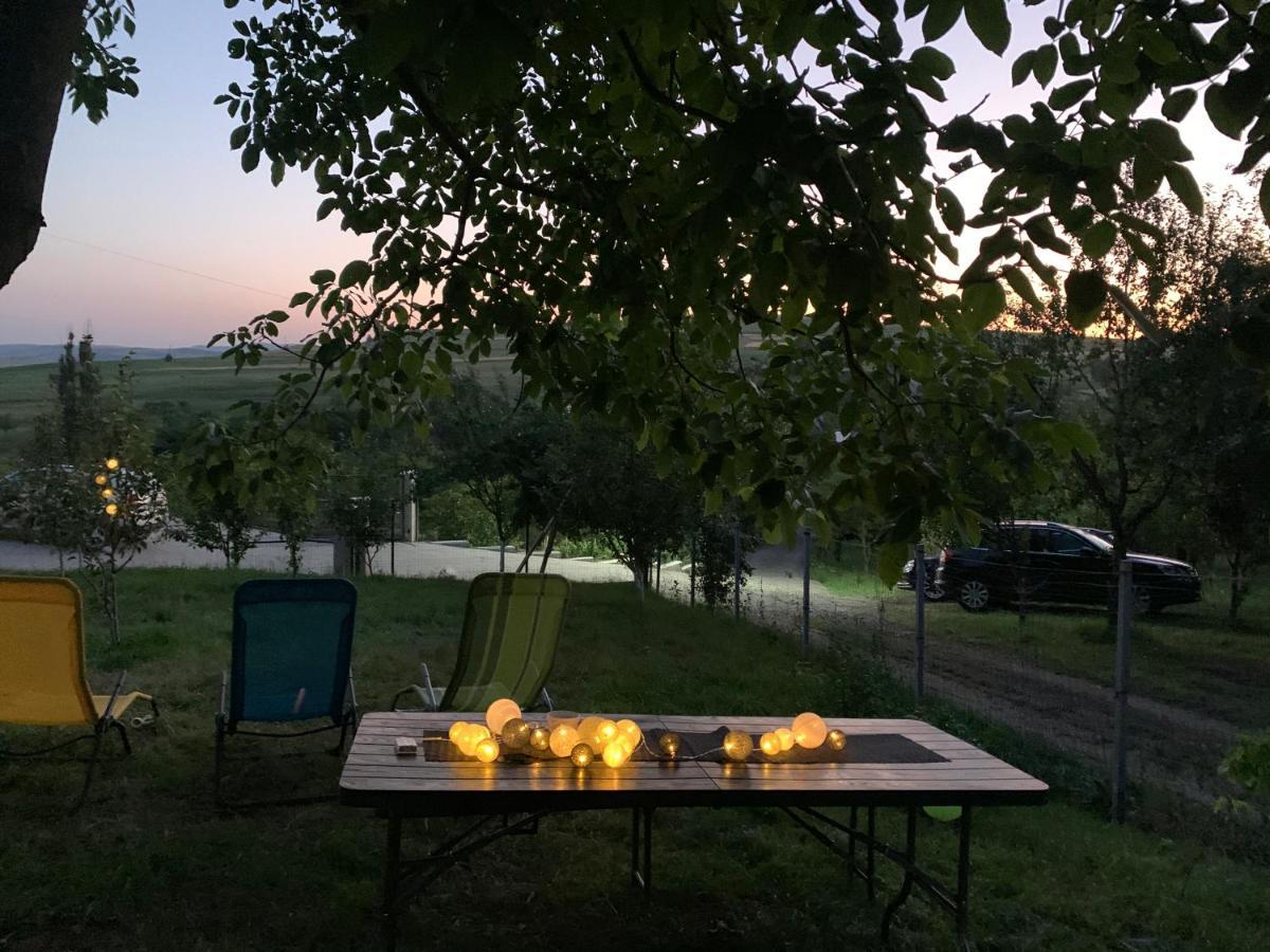 Вилла Viktoria House Одорхею-Секуйеск Экстерьер фото