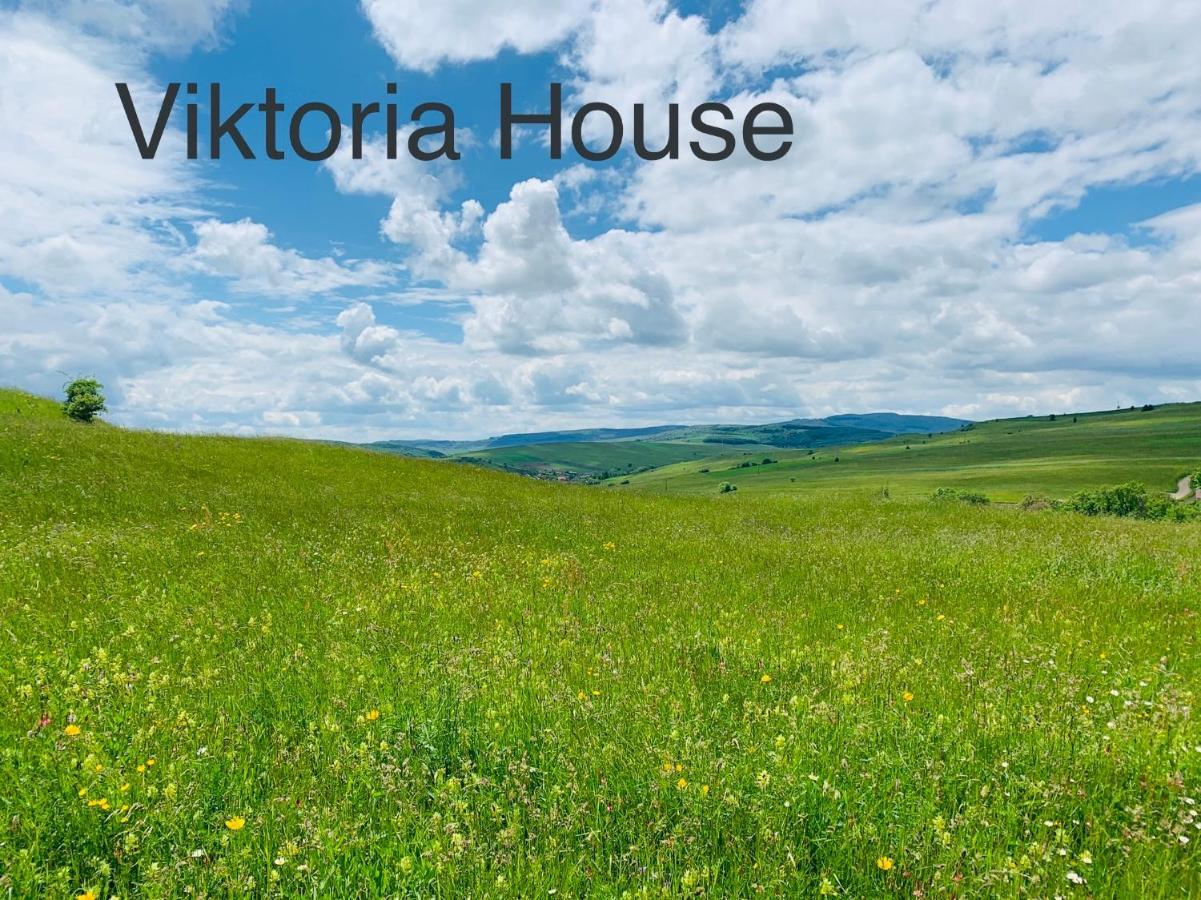 Вилла Viktoria House Одорхею-Секуйеск Экстерьер фото