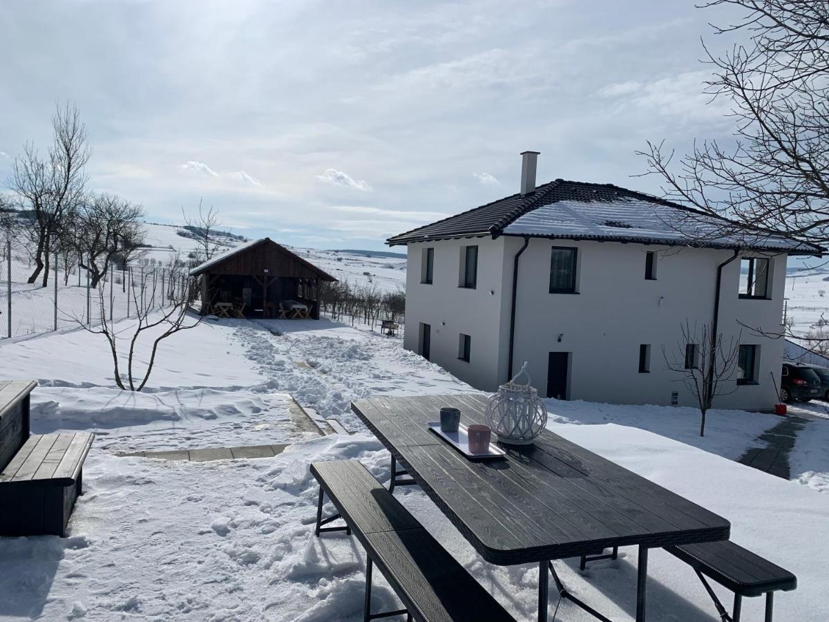 Вилла Viktoria House Одорхею-Секуйеск Экстерьер фото